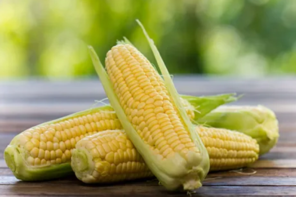 Corn